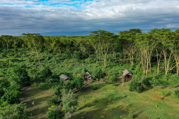 Migunga Tented Camp: Hütten im Grünen bei Tageslicht