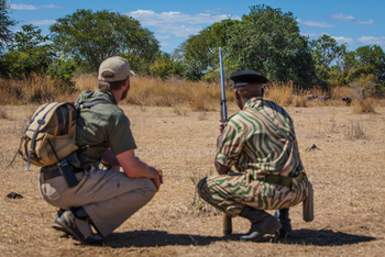 Mwaleshi Camp Mwaleshi Camp: Ranger und Guide