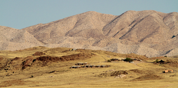 Rostock Ritz Desert Lodge: Wüstenlandschaft