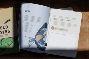 Singita Pamushana Lodge: Bird Guide