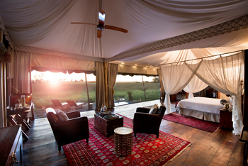Duba Plains Camp: Sessel
