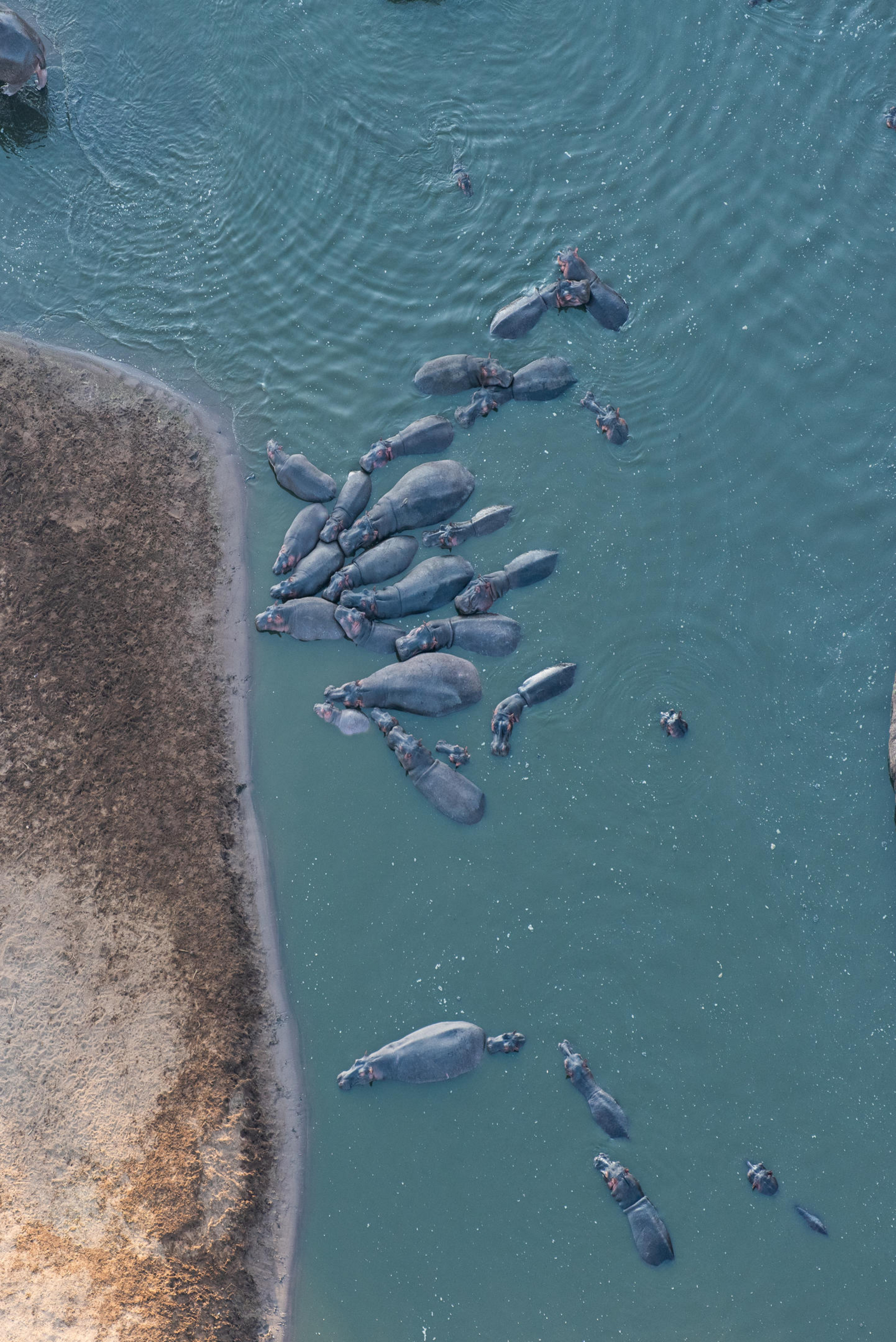 Little Governors' Camp Little Governors' Camp: Ballon-Safari