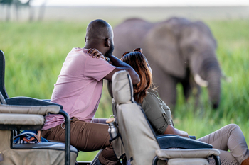 Little Governors' Camp: Game Drive