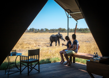 Little Machaba Camp: Elefant vor dem Gästezelt