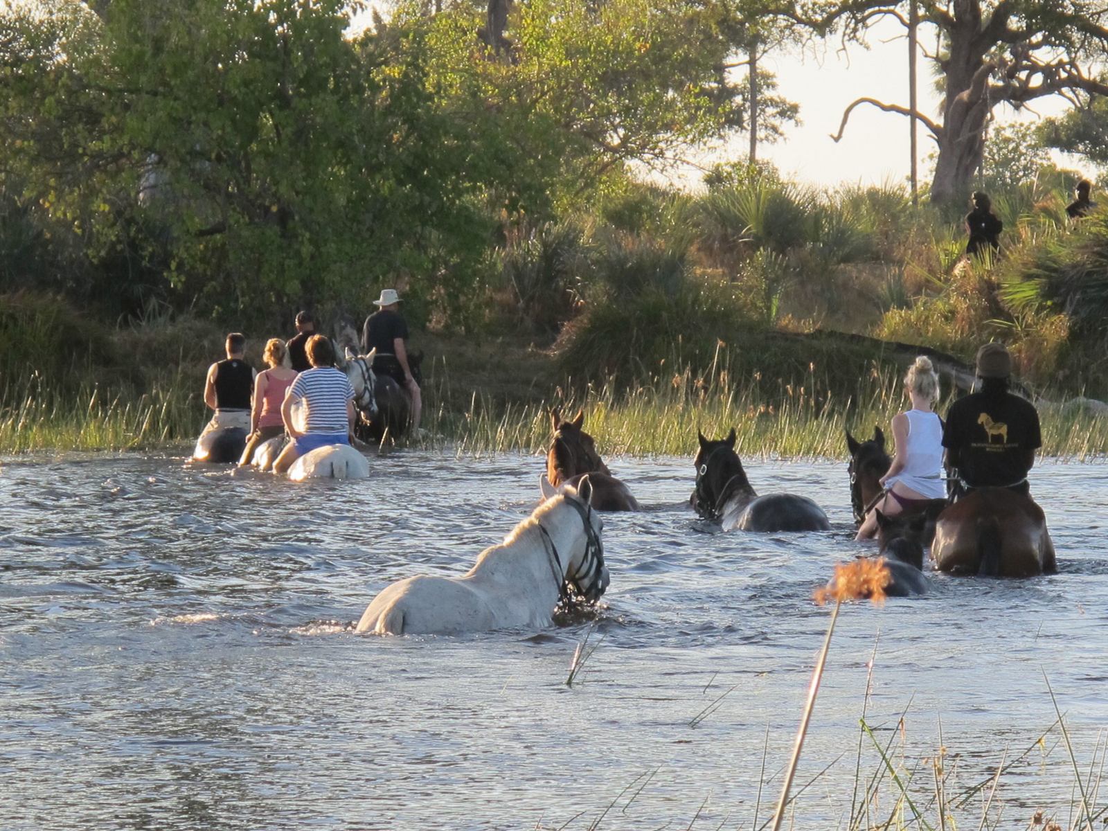 Mokolowane Camp Mokolowane Camp