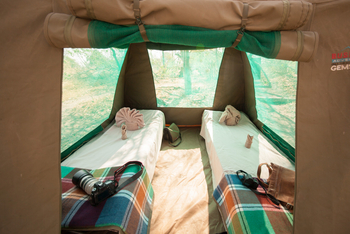 Moremi Crossing: Sleep-out auf Chief's Island