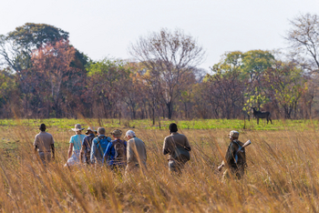 Nanzhila Plains Camp: Walking Safari