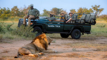 Tanda Tula Safari Camp: Game Drive