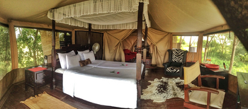 The Bison Resort: Gästezelt mit Holzdielen