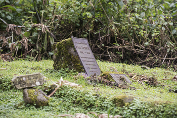 Volcanoes Virunga Lodge: Dian Fossey auf dem Gorillafriedhof