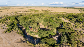 Basecamp Masai Mara: Graben um Camp