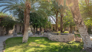 Fort Sesfontein Lodge: Schattige Gartenlounge unter üppigen Palmen am Mittag