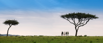 Klein's Camp: Walking Safari