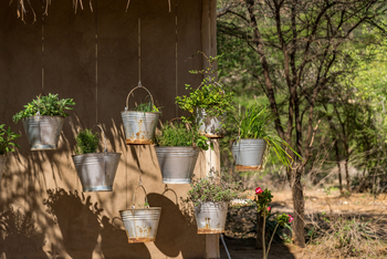 Koros Camp: Blumentöpfe