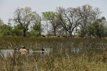 Kujwana Camp: Erfrischendes Bad im Fluss