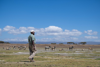 Loldia House: Auf Crescent Island