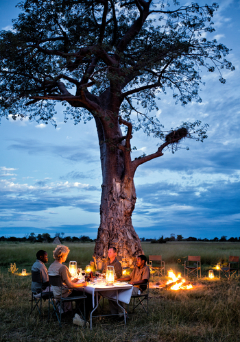 Mapula Lodge: Bush Dinner