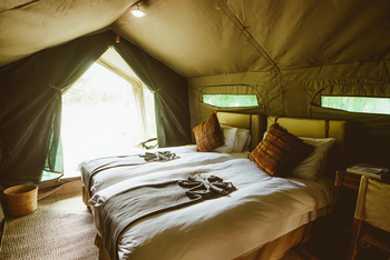 Migration Expeditions Camp Migration Expeditions Camp: Gästezeltinterieur