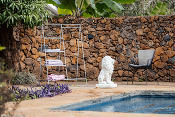 Mt. Meru Game Lodge: Pool