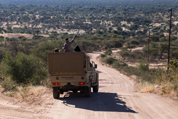 Okonjima Plains Camp: Game Drive