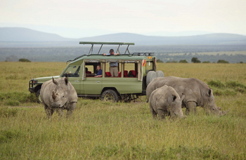 Ol Pejeta Bush Camp: Nashornfamilie