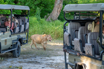 Saguni Safari Lodge Saguni Safari Lodge: Game Drive