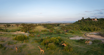 Saruni Eagle View Saruni Eagle View: Giraffen an der Salzlecke