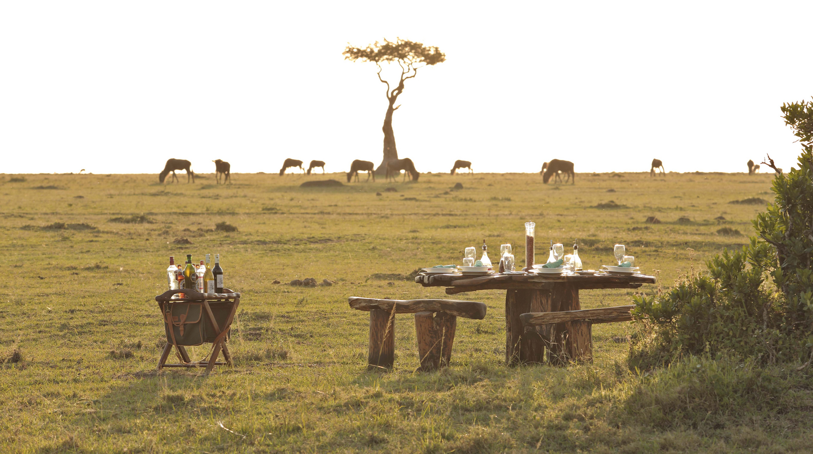 Saruni Wild Saruni Wild: Außenbereich des Camps