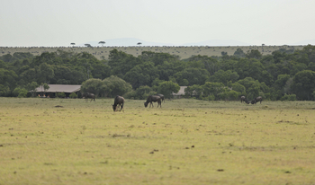 Saruni Wild: Umgebung