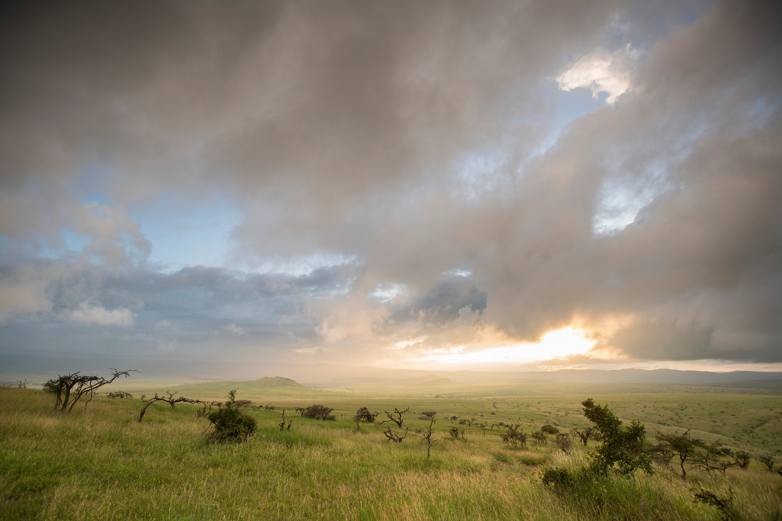 Sirikoi Lodge Sirikoi Lodge: Weites Grasland