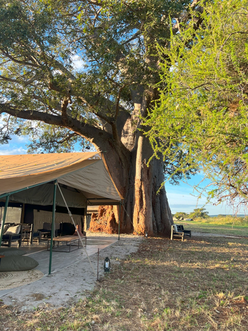 Tarangire Kati Kati Tented Camp: Hauptbereich