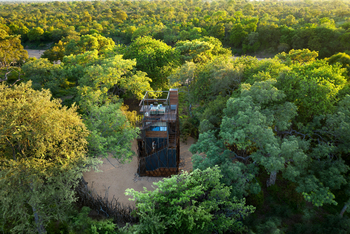 andBeyond Ngala Tented Camp: Ngala Treehouse