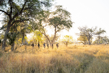 4 Rivers Camp 4 Rivers Camp: Walking Safari