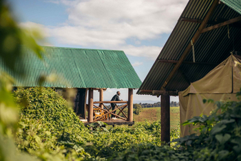 Crater Forest Tented Camp: Gast genießt Aussicht am Holzbalkon