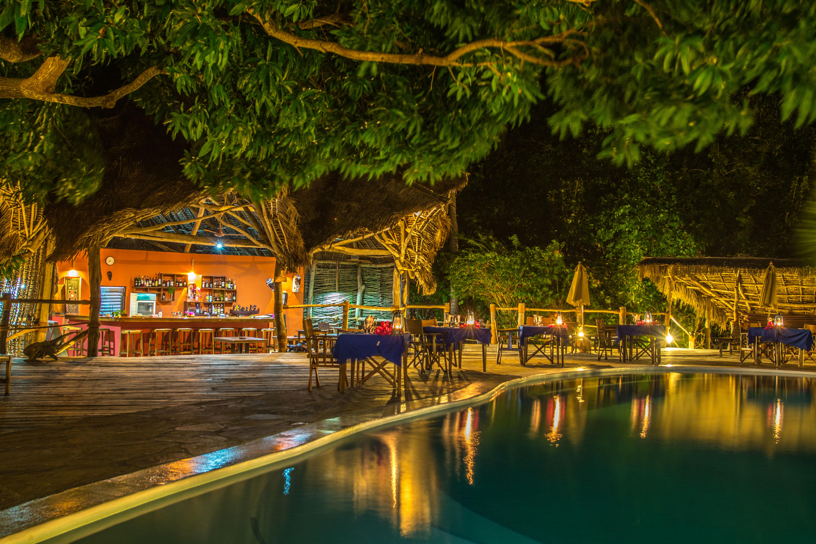 Fundu Lagoon Fundu Lagoon: Bar und Pool