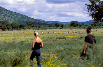 GocheGanas: Nature Walk