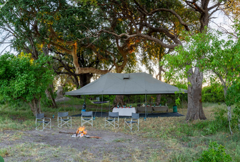 Beagle Expeditions: Kweene Camp