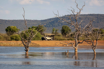 Madikwe Hills Private Game Lodge: Safari Fahrzeug bei Nachmittagsausflug im Busch