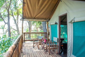 Moremi Crossing: Regiesessel