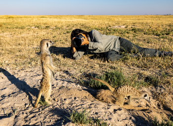 Camp Kalahari Camp Kalahari: Begegnung mit Erdmännchen