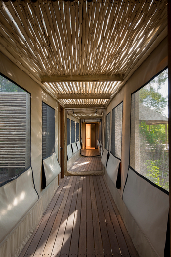 Nxabega Okavango Tented Camp: Familienzelt - Durchgang