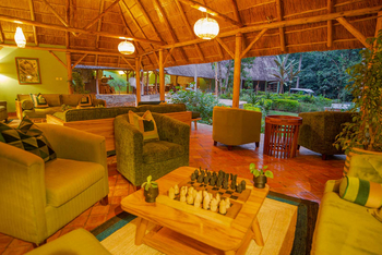 Primate Lodge: Schachbrett