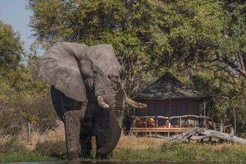 Saguni Safari Lodge Saguni Safari Lodge: Elefant vor einem Zelt
