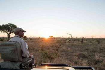 Singita Ebony Lodge: Gast im Safarifahrzeug bei goldenem Buschsonnenuntergang