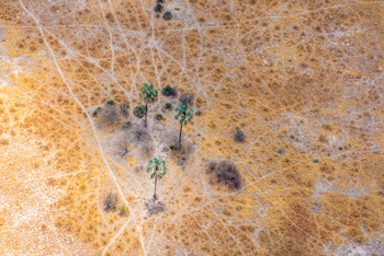 Splash Camp: Palem in der Trockenzeit