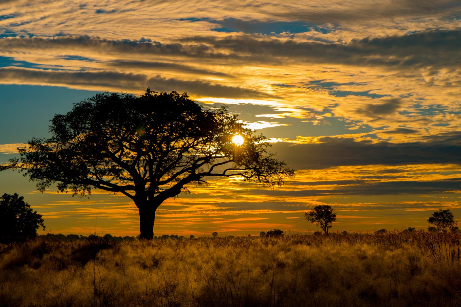 Splash Camp Splash Camp: Sonnenuntergang mit leichter Bewölkung