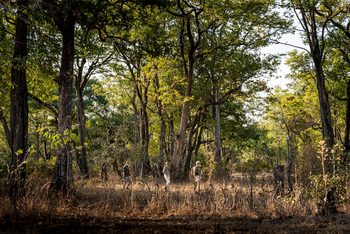 Sungani Lodge: Walking Safari