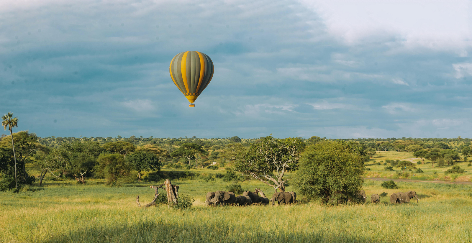 Tarangire Kati Kati Tented Camp Tarangire Kati Kati Tented Camp: Heißluftballon