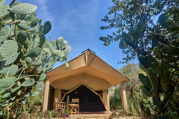 Tindiga Tented Camp: Zwei Holzstühle vor Safari-Zelteingang