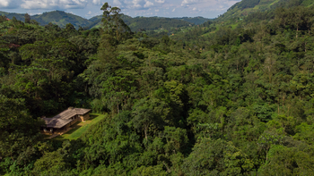 Volcanoes Bwindi Lodge: Deluxe Banda